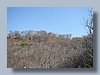 IMG_0087.JPG