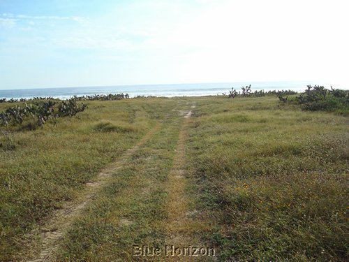 tamarindo_10.JPG