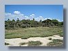 tamarindo_3.JPG