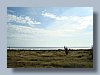 tamarindo_7.JPG