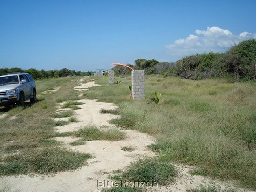 tamarindo_1.JPG