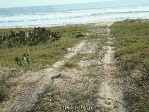 tamarindo_5_to_beach.JPG