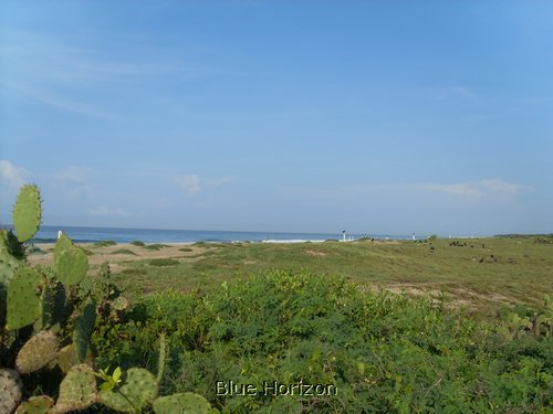 07.jpg